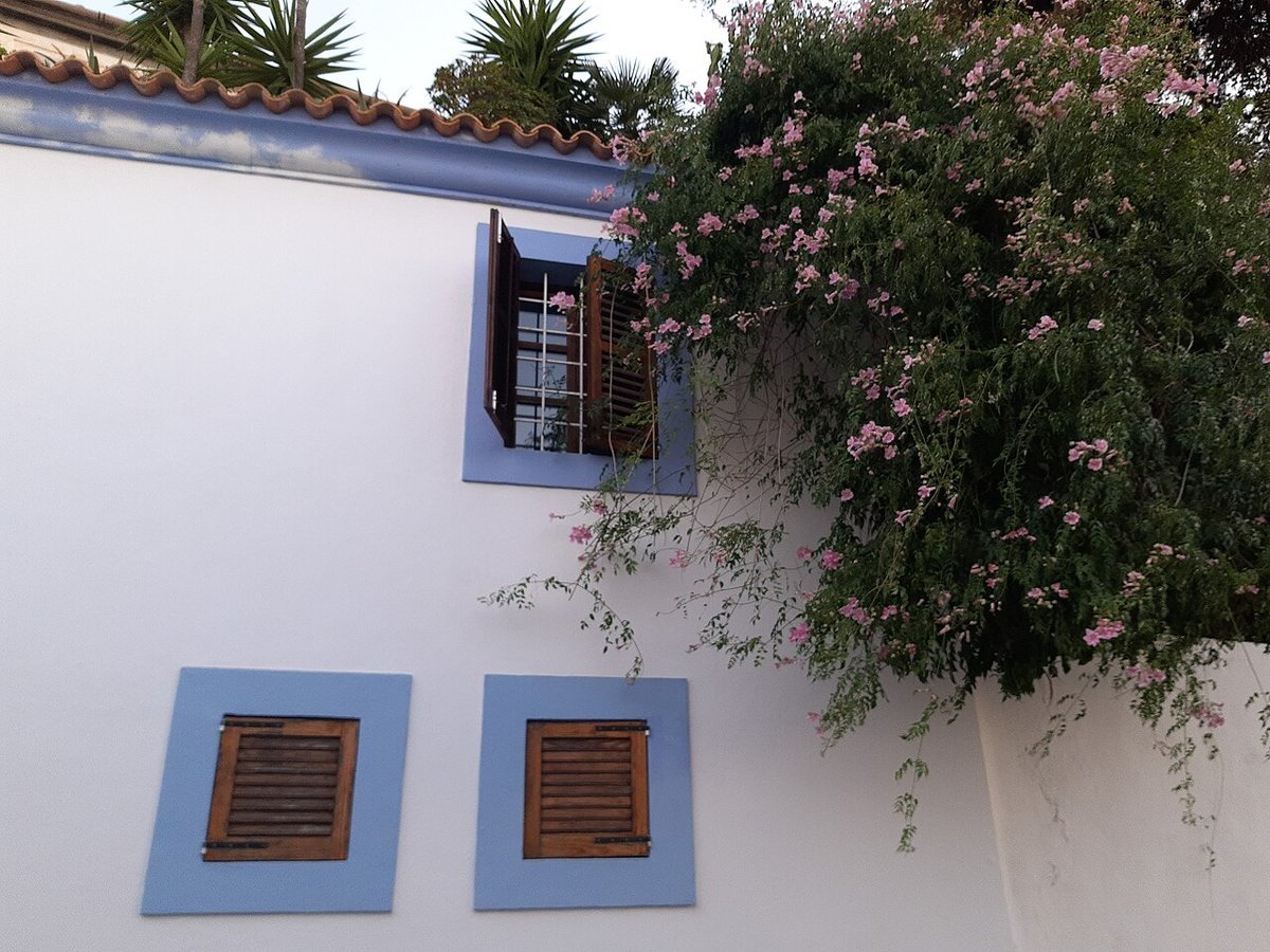 Whitewashed house in Ibiza town with blue window frames, wooden shutters and a pink flowering shrub